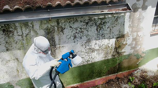 Top rated local Attic Mold Remediation specialists in Wyncote, PA